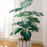 Lucjanos Apartmán *