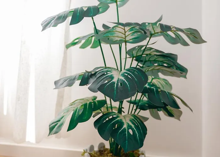 Lucjanos Apartmán *